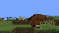 Image via Minecraft